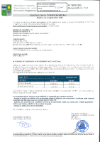 2025-033 FAPO candélabre-tampon