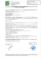 2026-010 élection du maire-tampon